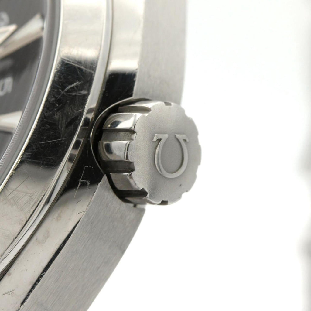 Pre-Owned Omega Seamaster Aqua Terra GMT 231.10.43.22.01.001 Stainless Steel Automatic Watch
